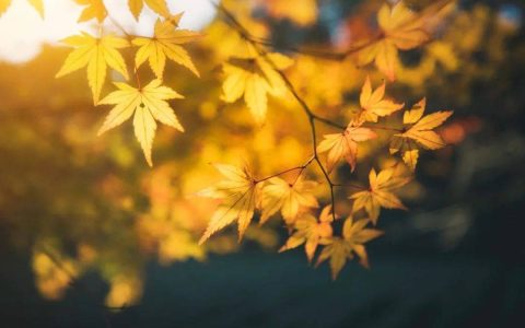 今日秋分！又是一年好“丰”景