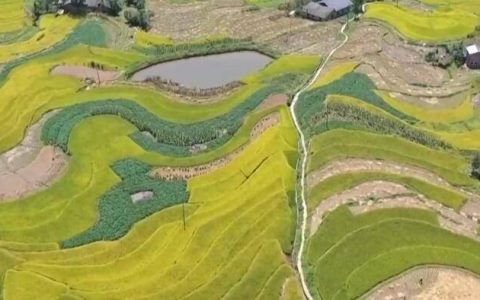 祝贺！2024年世界灌溉工程遗产名录公布 中国四个工程榜上有名