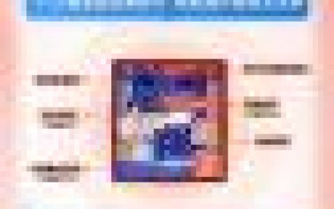 小生意大爆发，巨量引擎商家双11作战攻略