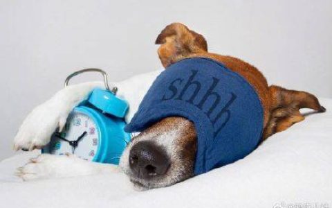 睡眠不足时身体有什么变化