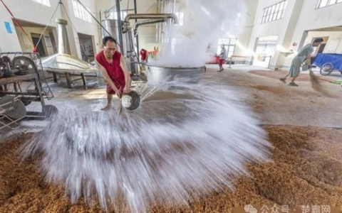 重岗山下稻酒香 韩修存 朱寿三 金平眉