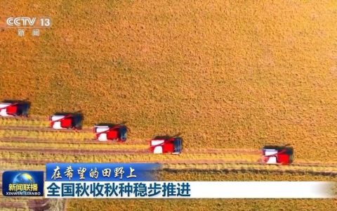 在希望的田野上丨全国秋收近八成 主产区尝试了这些“第一次”→