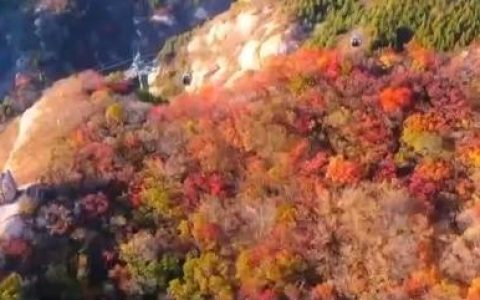 登高望远 八达岭长城红叶进入最佳观赏期