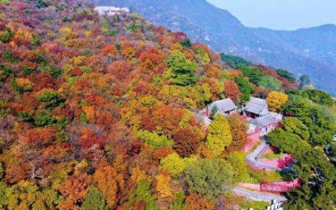 北京已进入赏秋最佳时节