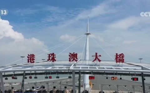 屡破纪录！大湾区再现“双向奔赴”热潮 呈现人车两旺繁忙景象