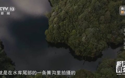 想你的风吹到了哀牢山 这是一座怎样的山？