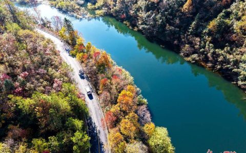 层林尽染山乡美