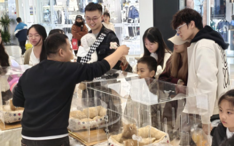 新城控股衢州吾悦广场宠物展吸引众多爱宠人士，猫咪狗狗成亮点