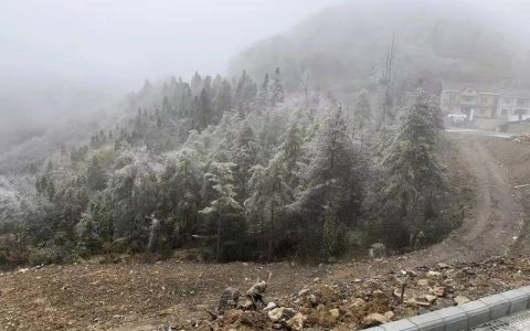 武汉一夜入冬？今起天气接连反转