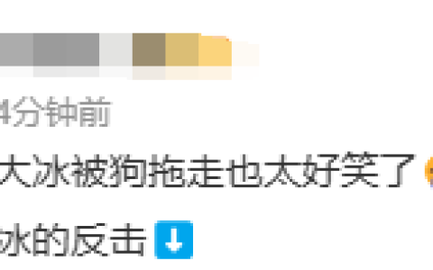 大冰直播时被狗拖走，嗖一下就没了！网友笑晕