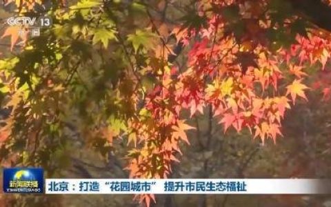 出门就是公园 北京正通过花园城市建设让市民“出门见绿”