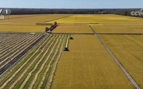 多领域“火热”数据印证我国经济发展动力足、韧性强