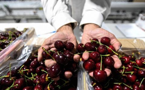 价格大降！每斤便宜100元，爱吃的人有福了