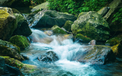 陇南康县以陇山十九泉，实现生态跃迁“点水成金”