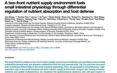 不吃早餐，小肠会疯狂吸脂？6个危害很多人不知道