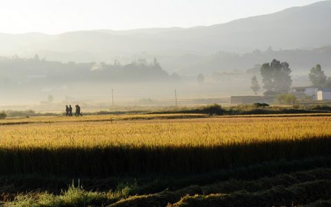 跟着电影去旅行 《边境电影院》今日开机