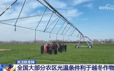 “严冬模式”已开启 全国大部分农区光温条件利于越冬作物生长