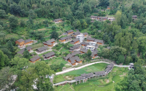 从《芝草无根》看百年古村蝶变，兴趣电商让更多乡村被“看见”