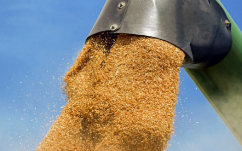 净松粮仓空调：守护粮食安全，引领绿色储粮新时代