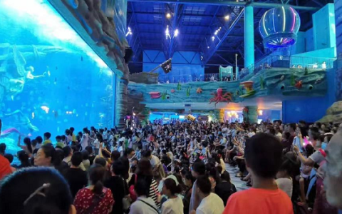 创新设计,赋能未来:新诺维信的海洋馆设计之旅