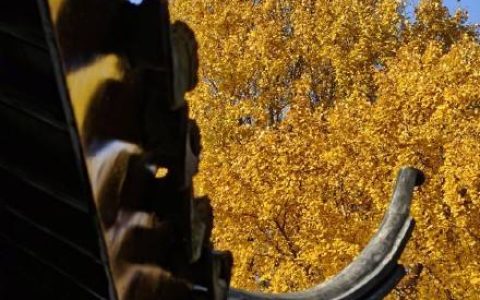 苏州拙政园一框一景满满中式意境