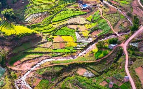 大地“彩妆”又焕新，云南梯田宛若多彩调色板