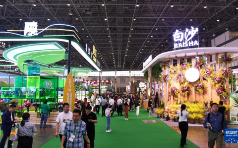 海南冬交会开幕