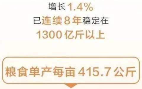总产量超1343亿斤，全国第二！