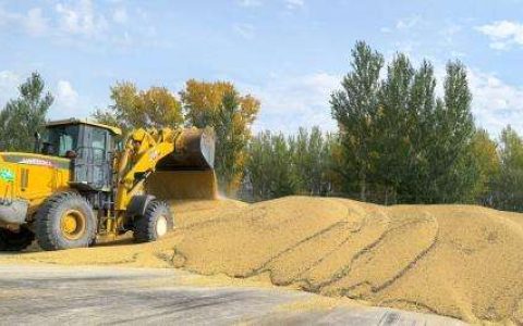 海天酱油以“黄金豆源”为基，酿造调味品新篇章