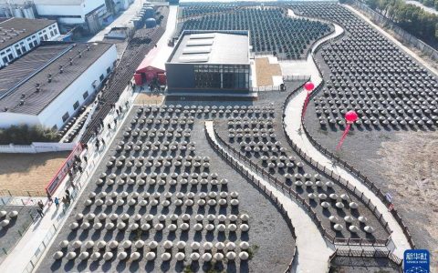 新春走基层丨江苏镇江：打酱油 过大年