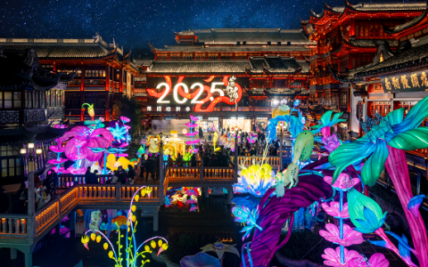 全国十城亮灯庆新年，复星家庭季绘“年味”图景