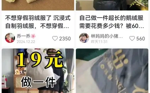 低于这个价格可能买不到真羽绒 自制羽绒服火上种草热搜榜