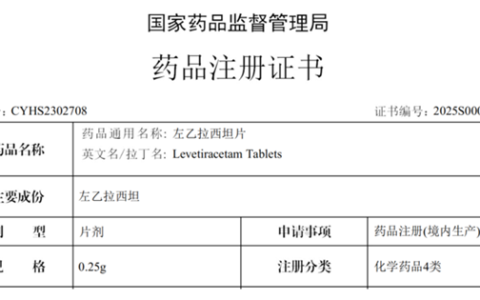 宝利化左乙拉西坦片获批上市  为癫痫患者带来治疗新选择