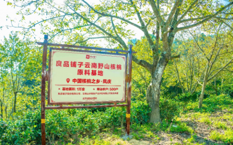 良品铺子：让大山的“馈赠”走向世界 以“三产融合”助力乡村振兴