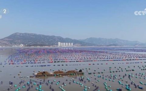 渔民喜迎丰收年 节前市场火热供不应求