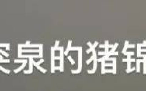 “趵突泉锦鲤要减肥”，方案公布，网友：还是要管住嘴