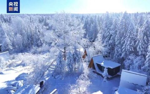 查收“悟空”Citywalk路线 开启2025新鲜之旅