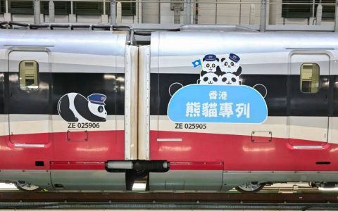 沉浸式同乘，这里的熊猫“含量”超高