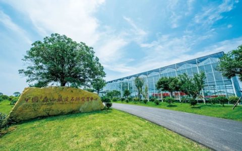 以科技创新驱动品质升级 森山持续引领石斛产业高质量发展