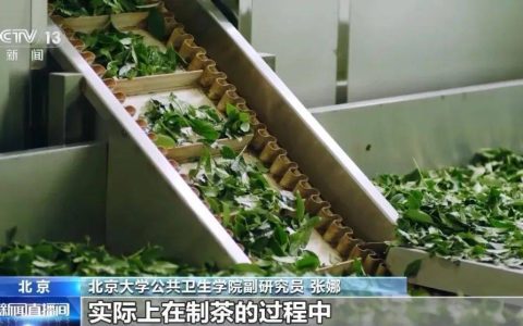 喝茶会肾结石、钙流失，还会伤胃？真相是……