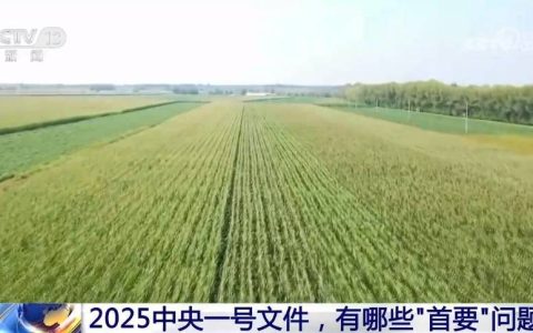 2025中央一号文件 有哪些“首要”问题？