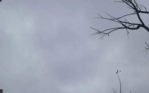 大风、低温警报！福建最低零下8℃！