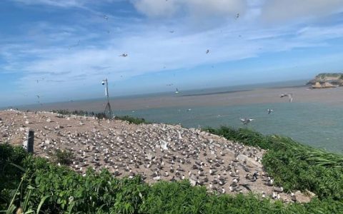 “社恐天菜”？这份日薪300元包食宿的工作火了！