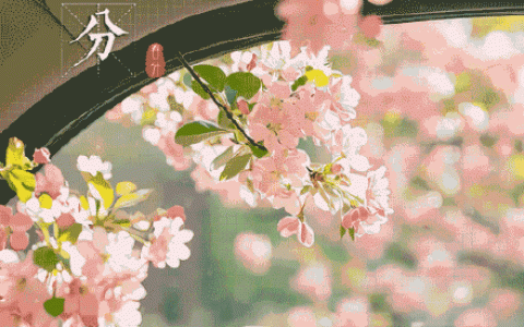 春分至，万物苏！