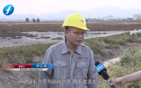 洋屿土壤科技 以创新科技诠释绿色农业