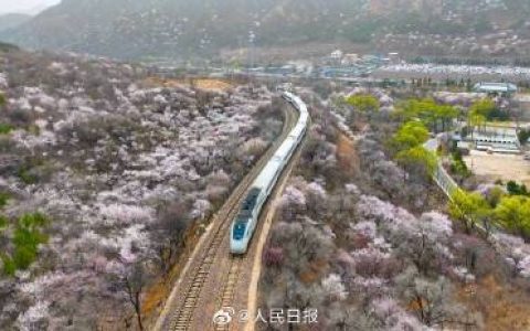 收藏！开往春天的列车最新画面