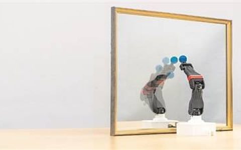 当机器人照镜子，它看见了什么