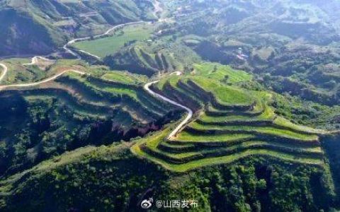 山西今年将造林260万亩 力争森林覆盖率提高到22.6%