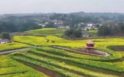 好风景变身好“钱”景 鸟语花香点亮“春日经济”新活力