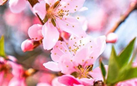 先升温后降温！江苏预报未来10天天气